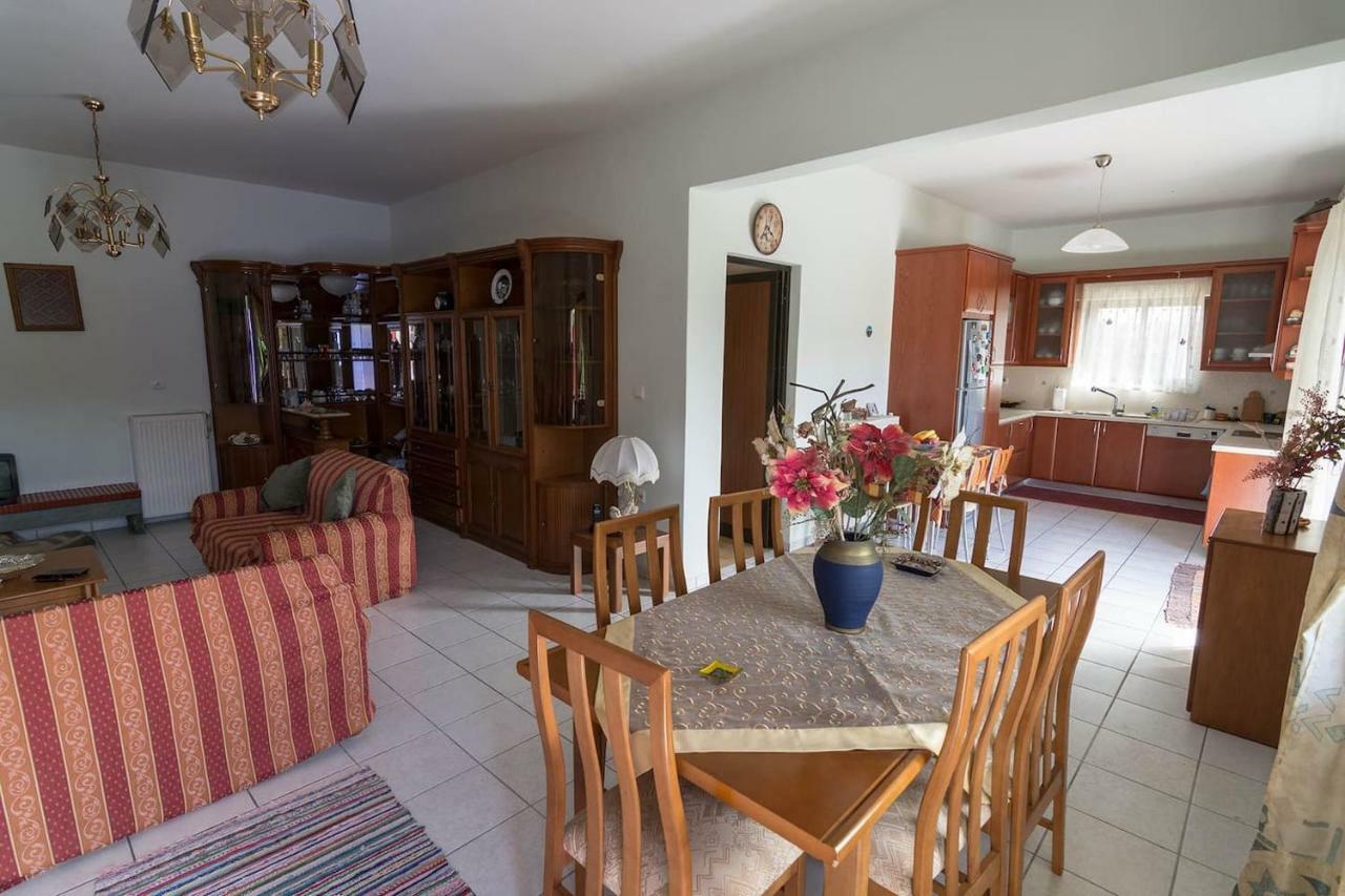 Big Family House In Mesochoria Village Luaran gambar