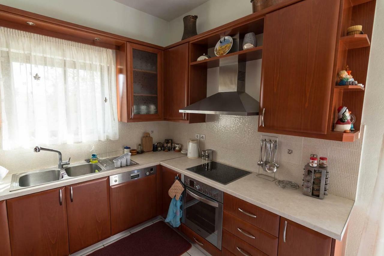 Big Family House In Mesochoria Village Luaran gambar