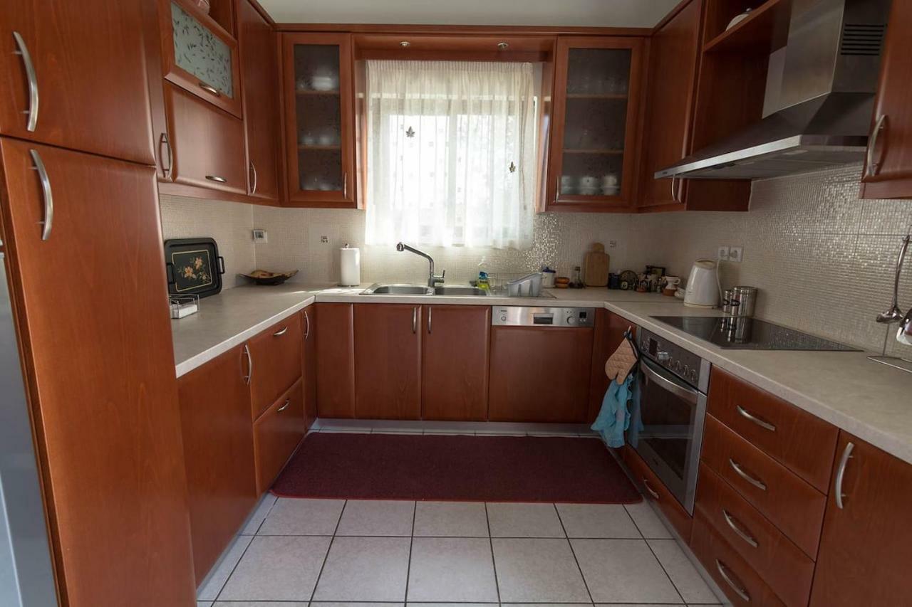 Big Family House In Mesochoria Village Luaran gambar