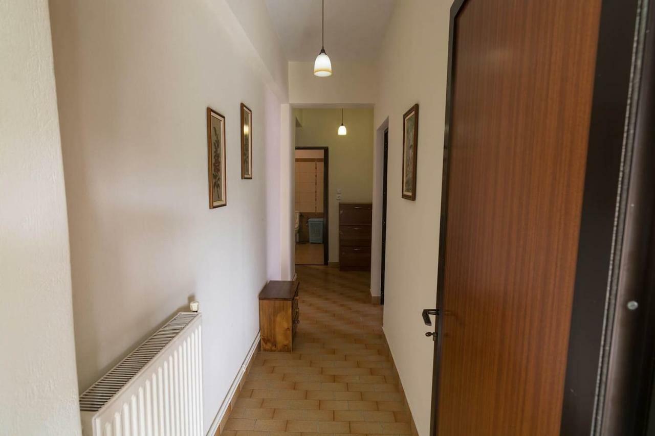 Big Family House In Mesochoria Village Luaran gambar