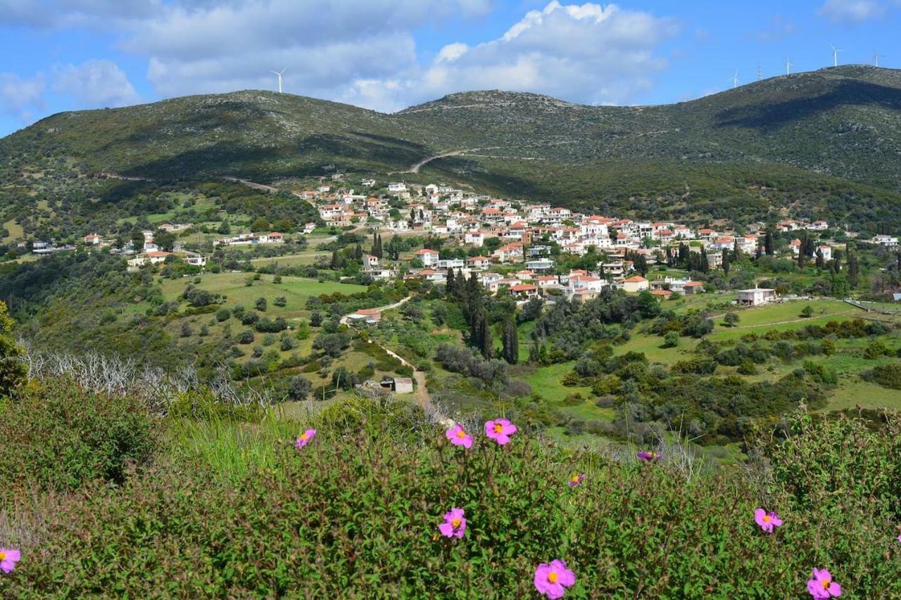 Big Family House In Mesochoria Village Luaran gambar