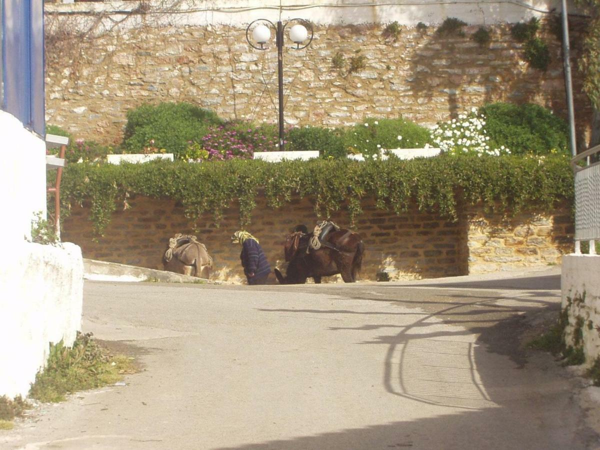 Big Family House In Mesochoria Village Luaran gambar